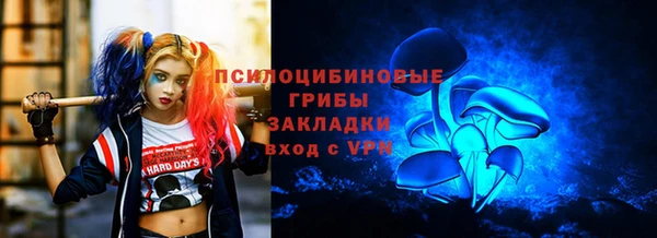 круглые Вяземский