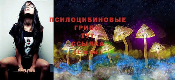 прущий лед Вязьма