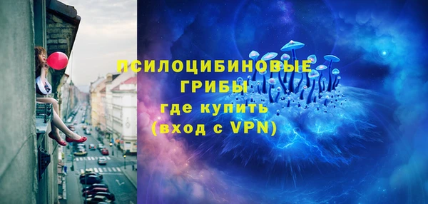 круглые Вяземский