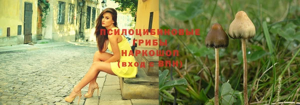 круглые Вяземский