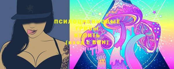 прущий лед Вязьма