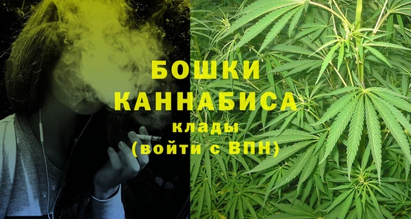 прущий лед Вязьма